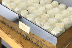 We Do Pro Displays - Acrylic mirror - flower display box - engraved plaque